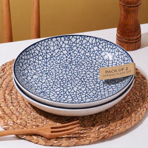 Image of Ceramic Pasta Plates, Blue & White Crackle Pattern Serving Plates, Ceramic Dinner Plates, Dishware for Pasta, Salad, Snacks & Meals, Microwave & Dishwasher Safe Crackle Mosaic Pattern, PACK OF 2)