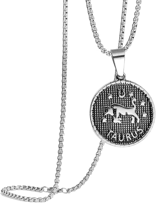 HIJONES Women Men's 12 Constellation Pendant Necklace Stainless Steel Birth Star Sign Pendant Chain Jewelry