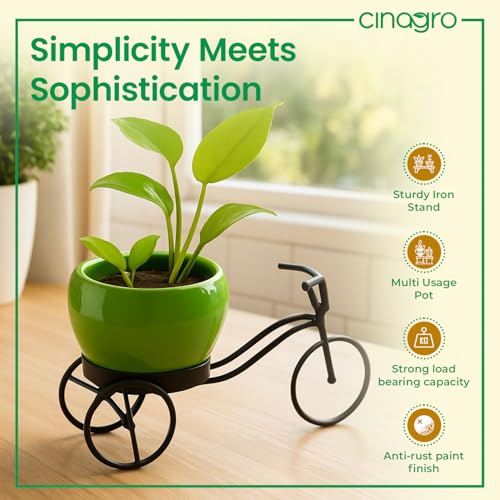 Image of CINAGRO Cycle-Shaped Metal Plant Stand for Indoor & Outdoor Use, Metal Cycle Flower Vase, Decorative Iron Planter Pot Holder for Flowers & Ornaments (24 x 11 x 11cm) Style: Urban Pedal, Big