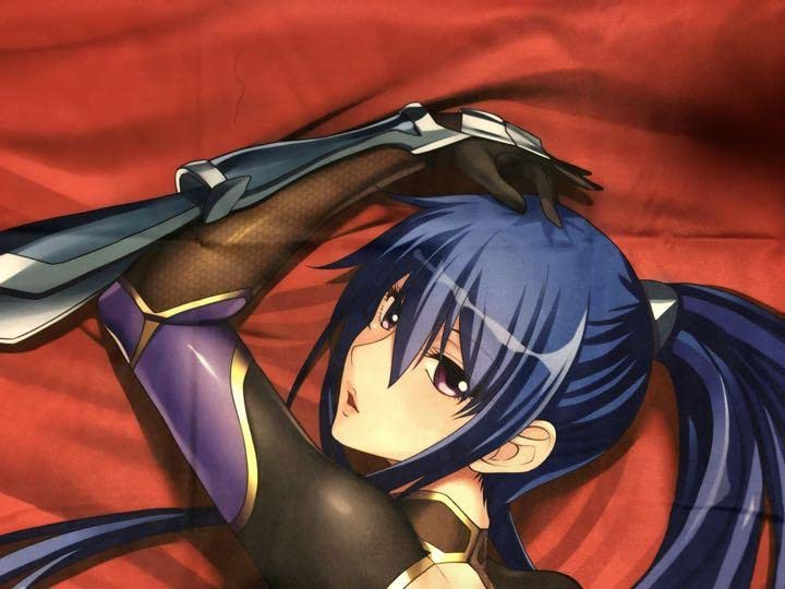 Amazon | 対魔忍アサギ 秋山凛子 抱き枕カバー | アイドル・芸能人