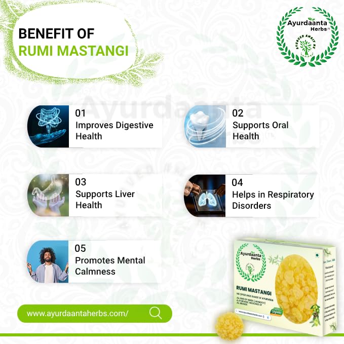 Rumi Mastangi/Roomi Mastangi/Pistacia Lenticus/Mastic Gum/Tears of Chios/ रूमी मस्तंगी / रूमी मस्तकी - 25 Gram 4