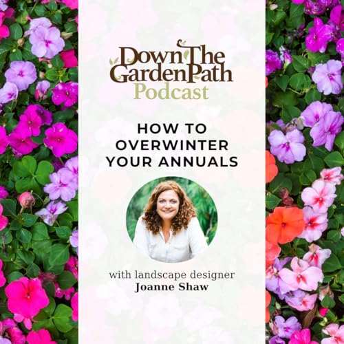 How to Overwinter Your Annuals
