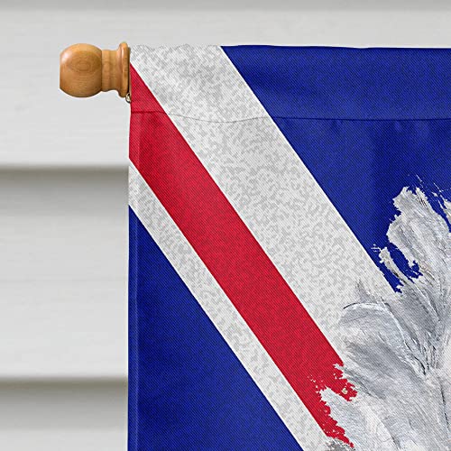 Caniche Blanc Toile Maison Union Jack Caroline's Treasures SC9884CHF Drapeau - 4