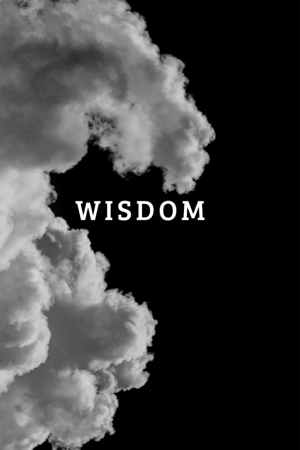 Wisdom: The Handbook Edición Español