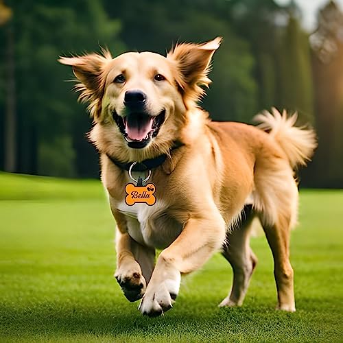 Silicone Dog Tags Engraved For Pets Personalized Soundless Pet Id Tag Light Dog Name Tags Silent Dog Id Tags Custom Dog Tags For Cats Puppy Kitty 2 Shapes & 5 Colours (Blue Bone) #TOP3