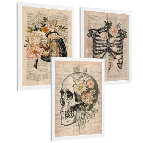 Affiches anatomie humaine style floral rétro lot de 3 tableaux médicaux sous cadre blanc