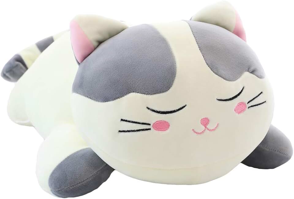 Cat Gifts for Kids