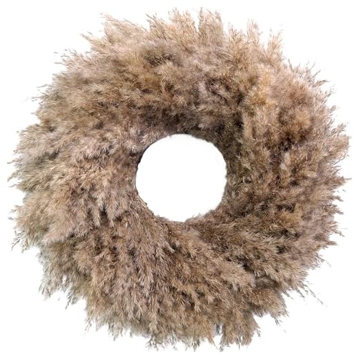 Natural Pampas Grass Wreath, 20'' Real Pampas Wreath for Front Door, Boho Wall Decor, Farmhouse Style, DIY Arrangement, Feather Wall Decor