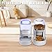 Pets Feeder Set Dog Feeder Cats Feeder with Water Dispenser Automatic Gravity Big Capacity Pets Feeder Auto for Small Medium Big Cats Dogs (Gray)