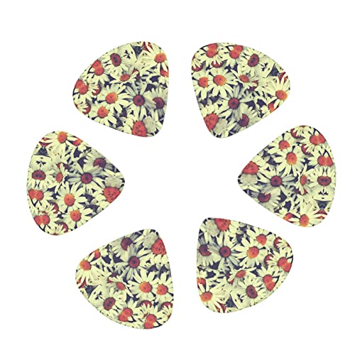 Médiators Guitare 12-Pack Vintage Fleurs Médiators Guitare Électrique Guitare Acoustique Diverses Guitares - Les Beatles, Paul McCartney, John Lennon, RIngo Starr, George Harrison Médiators Guitare 12-Pack Vintage Fleurs Médiators Guitare Électrique Guitare Acoustique Diverses Guitares