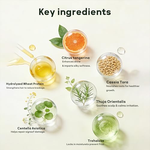 Image of Hydrating Conditioner for Dry Damaged Hair, Bond Repair Treatment
