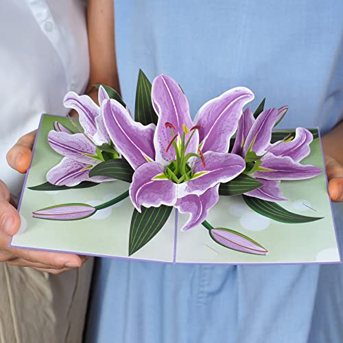 Paper Love 3D Purple Lilies Pop Up Card, Gift for Birthday, Wedding, Anniversary, Thank You, Get Well, All Occasion or Just Because - 5\" x 7\" Cover - Includes Envelope and Note Tag