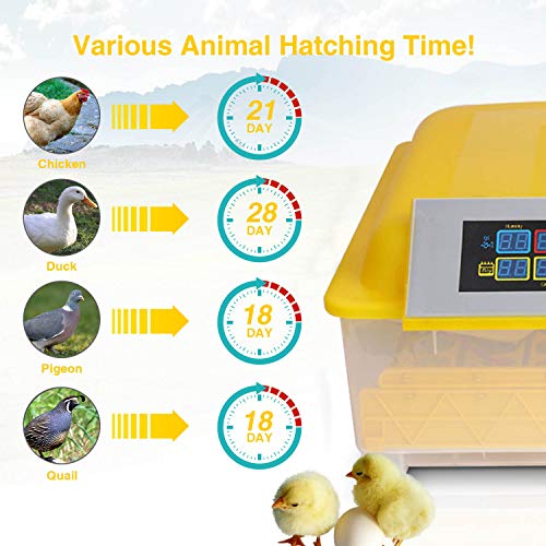 48 Egg Incubator,Incubators For Hatching Eggs,Poultry Hatcher Machine With Automatic Egg Turning,Temperature & Humidity Control,Led Screen,General Purpose Incubator For Chickens Ducks Birds (Yellow) #TOP1