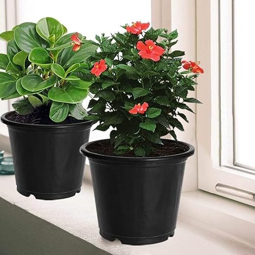 See full amazon price history chart for Guruji Plantation 30 Pcs Of 4 Inch Round Black Plastic Flower Pots For Indoor Plants Small Heavy Duty For Gardening, Balcony, Garden Flowers, Home Decoration Gamla With Drainage Hole (Pack of 30) Guruji Plantation 30 Pcs Of 4 Inch Round Black Plastic Flower Pots For Indoor Plants Small Heavy Duty For Gardening, Balcony, Garden Flowers, Home Decoration Gamla With Drainage Hole (Pack of 30) (B0CPD23QQS) Amazon Price History, Amazon Price Tracker