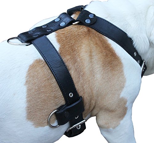 Genuine Leather Dog Harness X-Large 33″-40″ Chest, 1.3″ Wide Adjustable Straps (Black) Genuine Leather Dog Harness X-Large 33″-40″ Chest, 1.3″ Wide Adjustable Straps (Black)