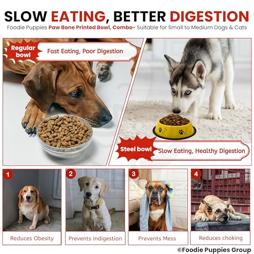 Image of Foodie Puppies Stainless Steel Dog Bowl Combo - (Medium, 700ml) Food and Water Feeding Gift Bowl | Suitable for Dogs, Cats and Other Pets I Paw Bone Print, Anti-Skid Rubber Base (Red + Yellow)