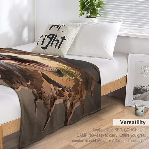 Couverture chaude et douce lavable en machine plaid flanelle T-Rex - 7