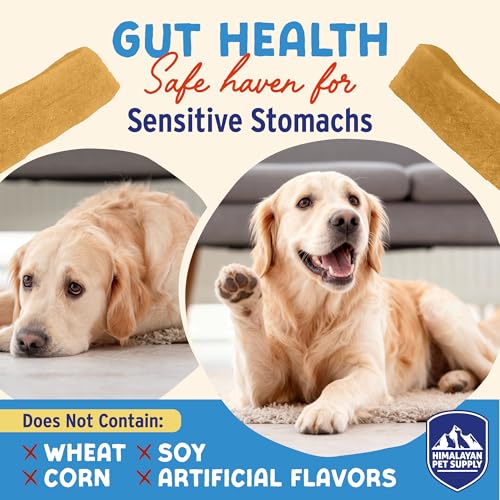 Image of Himalayan Dog Chew Apple Honey Yogurt Sticks for Dogs | Protein-Rich Treats with Prebiotics & Probiotics | Lactose-Free, Grain-Free, Gluten-Free | Healthy Yogurt Chews for All Breeds | 5 Count
