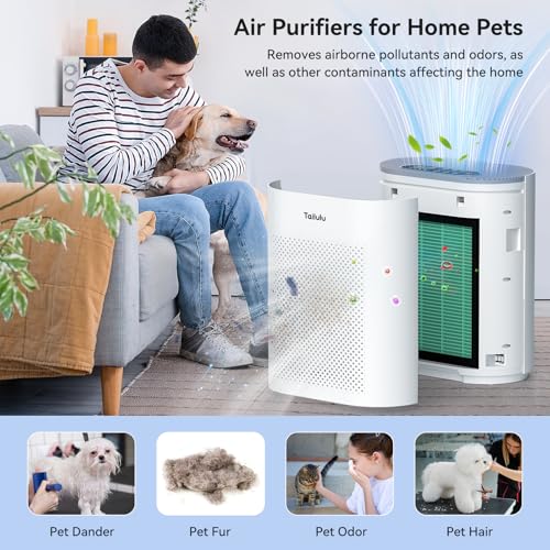 Image of Tailulu Air Purifier Filter for Tailulu HQKJ-180 Air Purifier, H14 Grade True HEPA for Large Room Filter Allergies Pollen Smoke Dust Pet Dander, HQKJ-180 Replacement Filter (Green 1Pack)