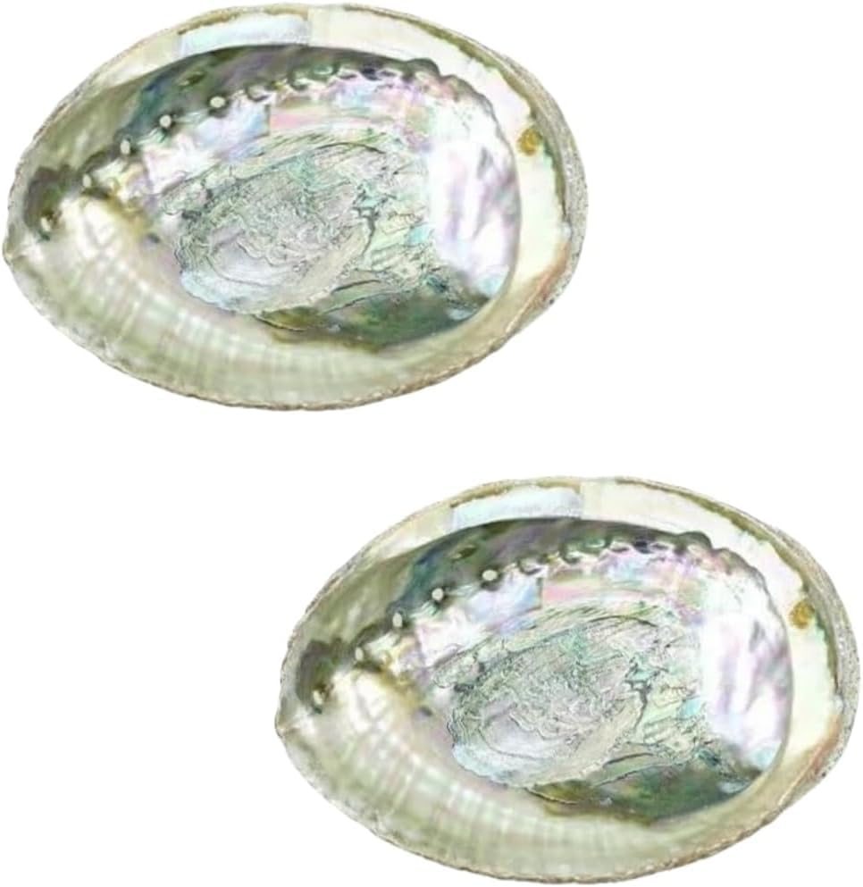 2 Pcs Large Abalone Shell Bowl 4-4.5 Inch Colorful Natural Smudge Bowl for Sage Burning and Incense Sea Shell Smudging Bowl for Decor and Display Incense Holders