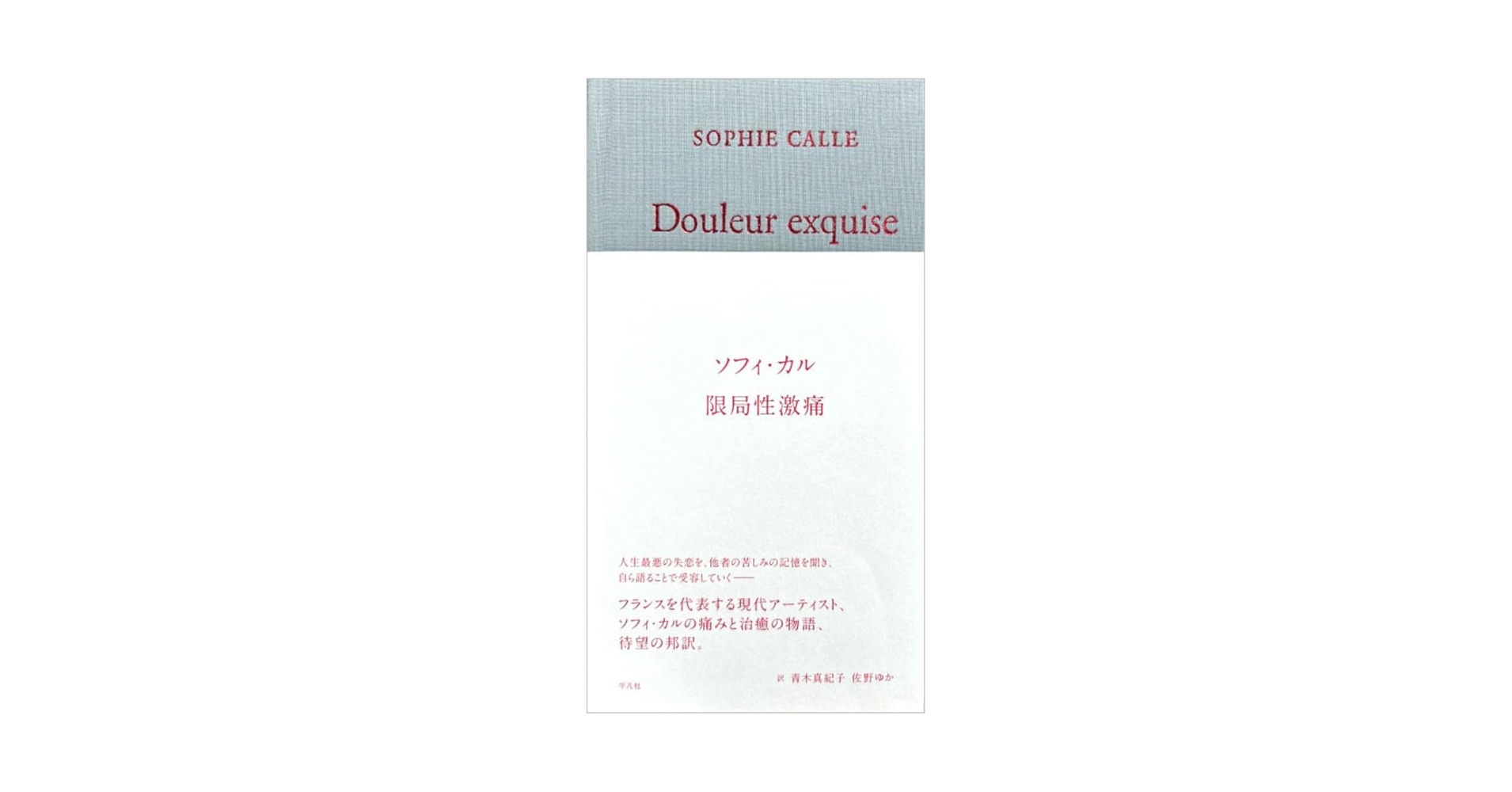 ソフィカル  限局性激痛　和訳付き Amazon.co.jp: 限局性激痛 : ソフィ・カル, 青木 真紀子, 佐野