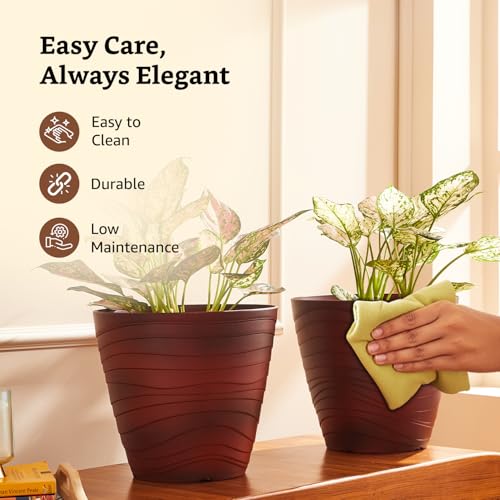 Image of Amazon Brand- Solimo Indoor and Outdoor Round 10 Inch Flower Planter Pot Best for Terrace /Balcony /Home /Office Decor - Set of 2