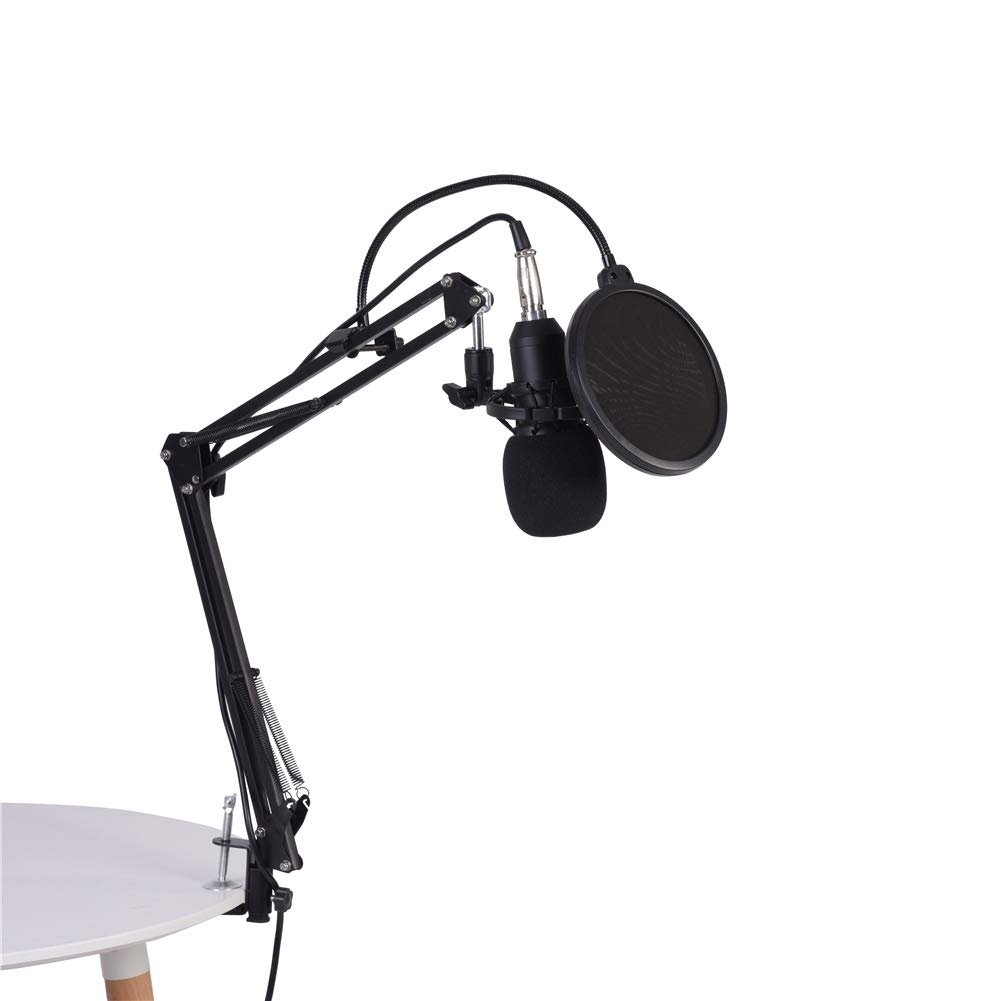 Wakects Microfono a Condensatore BM800, Kit con Filtro Anti-Pop, Braccio di Supporto, Shock Mount, per Registrazione Studio Podcasting Broadcasting