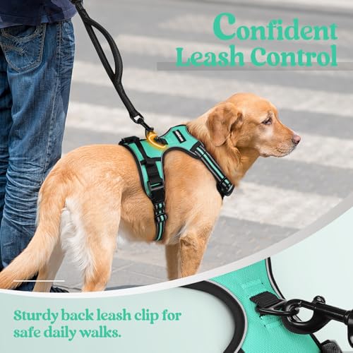 Image of rabbitgoo Dog Harness No Pull with 2 Leash Clips, Adjustable Soft Padded, Reflective Oxford No Choke Pet Vest with Easy Control Handle for Small Dogs, Turquoise, S