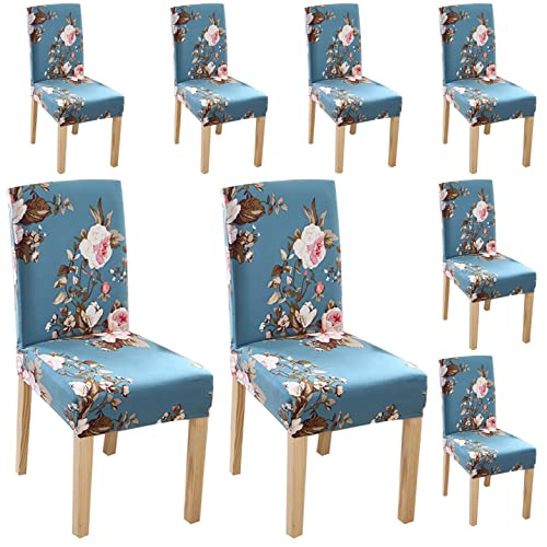 Styleys SLMC-160 - Funda protectora de poliéster y elastano para silla de comedor, elástica, extraíble, lavable, corta (juego de 8, flor azul cielo, SLMC-160)