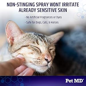 Petmdhydrocortisonesprayfordogscatshorsesitchreliefsprayhotspottreatmentfordogsirritateddryitchyskinallergiesanddermatitisreducestopicalinflammation4oz Urban Country Home Decor Pet md hydrocortisone spray for dogs cats horses itch relief spray hot spot treatment for dogs irritated dry itchy skin allergies and dermatitis reduces topical inflammation 4 oz urban country home decor