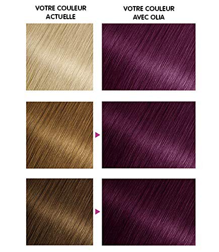Garnier Coloration Permanente - Sans Ammoniaque - Aux Huiles Naturelles de Fleurs - Violine Profond (4.26) - Olia Vivids (Lot de 2)