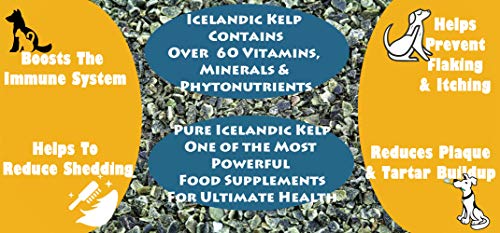 Wolf Creek Ranch Icelandic Kelp Meal 2 lbs miniatura 6