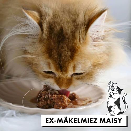 STRAYZ Katzenfutter Nass in Soße Probierpaket – Getreidefrei, Hoher Fleischanteil, ohne Zuckerzusatz, 100% natürliche Zutaten, Premium Nassfutter in Soße für wählerische Katzen