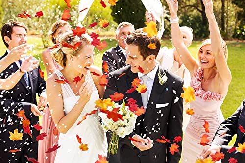 RUIXUE® About 400pcs Artificial Maple Leaves in Autumn Colors - Image 2