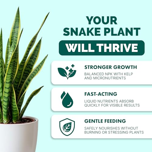 Fertilizante líquido para planta serpiente 8 oz miniatura 2
