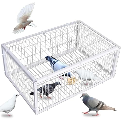 ケージ 鳩」の人気商品一覧 | 安い商品を通販サイトから探す - 価格.com