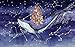 FAWFAW Giochi E Puzzle 300 Pezzi, Star Whale, Big Dipper