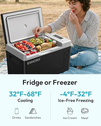 Portable Electric Cooler Warmer Combo