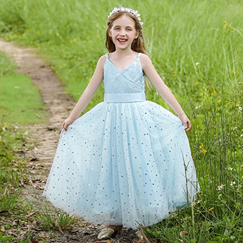 Doragirl Lace Girls Flower Dress Wedding Embroidered Princess Sparkle Tulle Birthday Party Dresses Pageant Evening Halloween Light Blue #TOP2