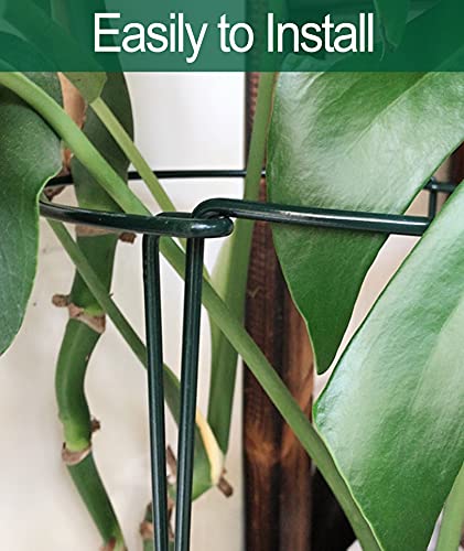 Hortensien Stützen Die 15 besten Produkte im Vergleich