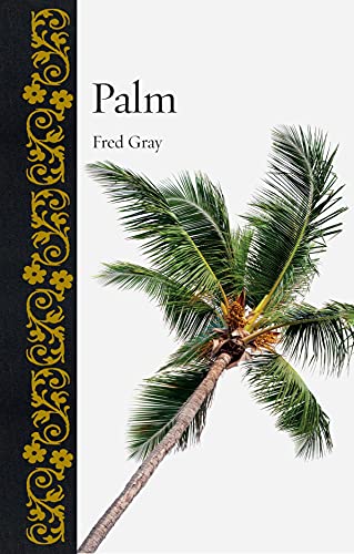 Palm (Botanical) view 2