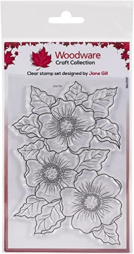 Woodware Tampon Encreur Singles Scented Blooms - Tampon en Photopolymère Transparent, Socle en Acrylique - Accessoire pour Carterie, Scrapbooking, Journal, Loisirs Cover