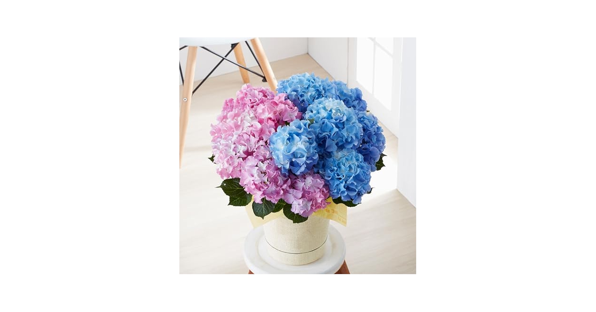 Hydrangea4936　0807指定18日 楽天市場】TORY BURCH トリーバーチ ネックレス KIRA ENAMEL