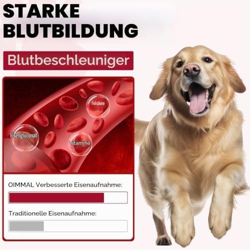 Flüssiges Eisen Ergänzungen Für Hunde,Liquii Eisen Tropfen Mit Folat Vc Und B12,Unterstützt Anämie,Niedrige Enerie-Spiegel Und Lethargie,Fördert Blutgesundheit,Bildung Von Roten Blutkörperchen-2 Fl.Oz