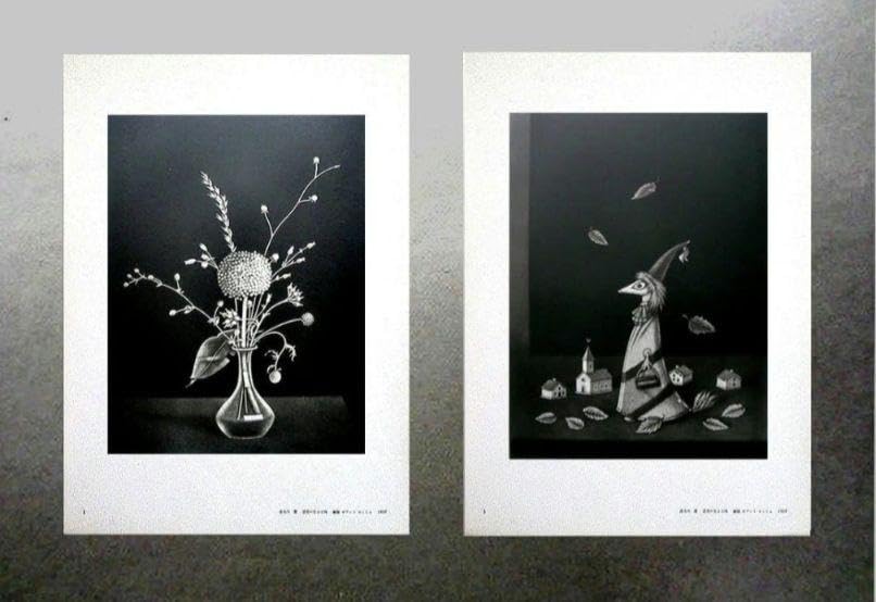 #◆長谷川 潔 銅版画２点美品「 瓶に刺した種草 」「静物画・仮装したる狐」 Amazon.co.jp: #長谷川 潔 銅版画2点「 瓶に刺した種草 」「静物画