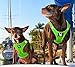 EcoBark Rapid Fastener Super Comfort Fully Adjustable Double Padded Step in Dog Harness (XXS, Green)