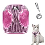 🐾【Integriertes Design】 Dieses Katzengeschirr mit Leine nimmt integriertes Design ein. Es ist bequemer zu tragen und abzuheben, mit Samtdesign. Haustiere sind wärmer und komfortabel. Bei kaltem Wetter können die Haustiere wärmer und bequem sein.