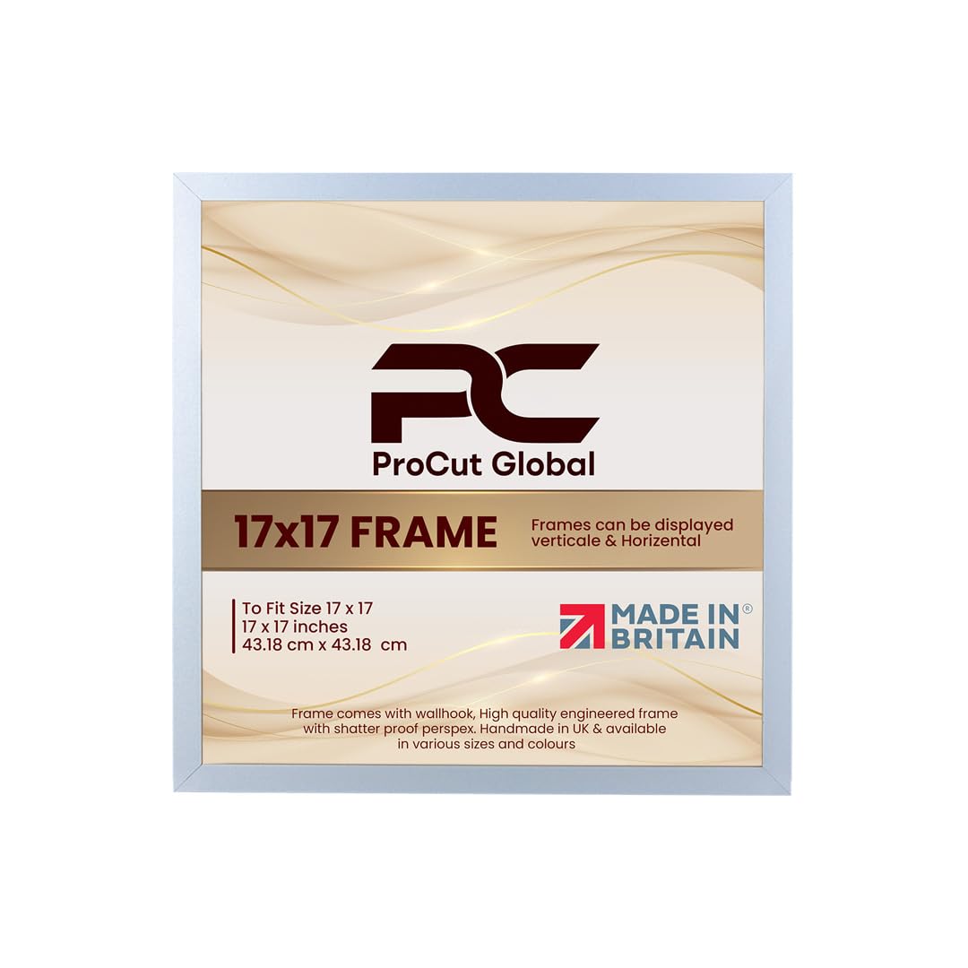 Procut Global 17X17 Silver Picture Frames – Sleek Wooden Photo Frame with Shatterproof Perspex for Wall or Tabletop – Perfect for Posters, Certificates, Prints–Multiple Sizes & Colors Available — image 1