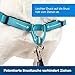 PetSafe Easy Walk Deluxe Geschirr, Gehgeschirr ohne Zug für Hunde, gepolstertes Design, inkl. 1,8 m Leine, mittelgroße/große ozeanblaue/Schwarze Leine