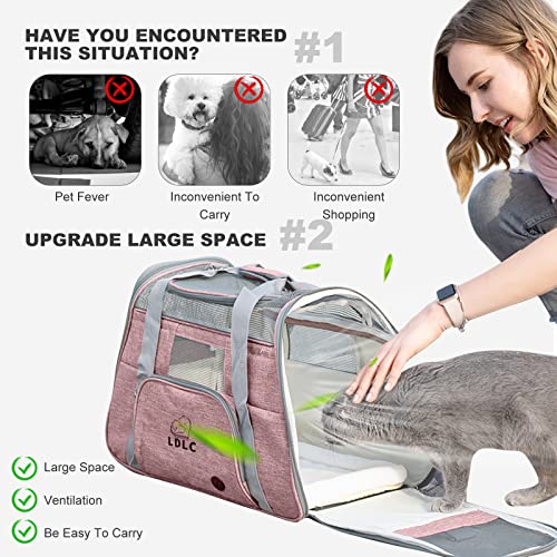 PETCUTE Hundetransportbox,Atmungsaktive Katzen Tragetasche Katze transportbox Tragetaschen mit Weicher Matratze, Stoff Oxford Haustiertragetasche mit Schultergurt,Airline Zugelassen Rosa
